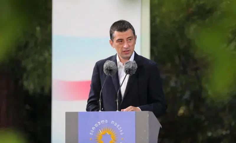 Премьер Грузии – Наша территориальная целостность – это наша самая большая цель