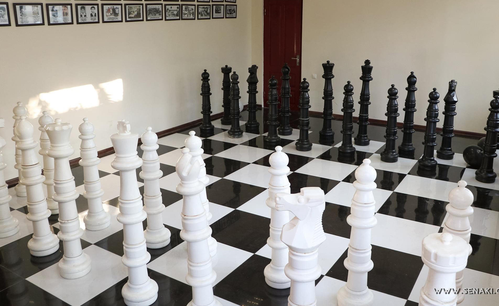 სენაკში ჭადრაკის სახლი გაიხსნა