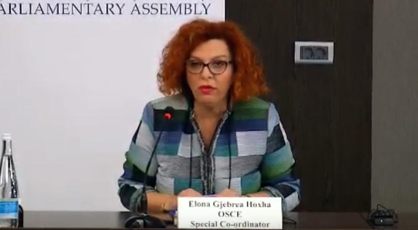 ეუთო-ს სპეციალური კოორდინატორი, ელონა გებრეა ხოჯა - საქართველოში ჩატარებული საპარლამენტო არჩევნები კონკურენტული იყო