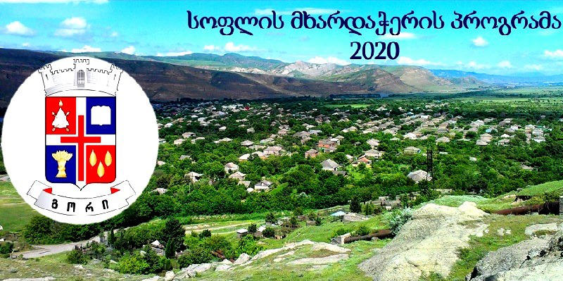 გორის მუნიციპალიტეტში 120 პროექტი ხორციელდება