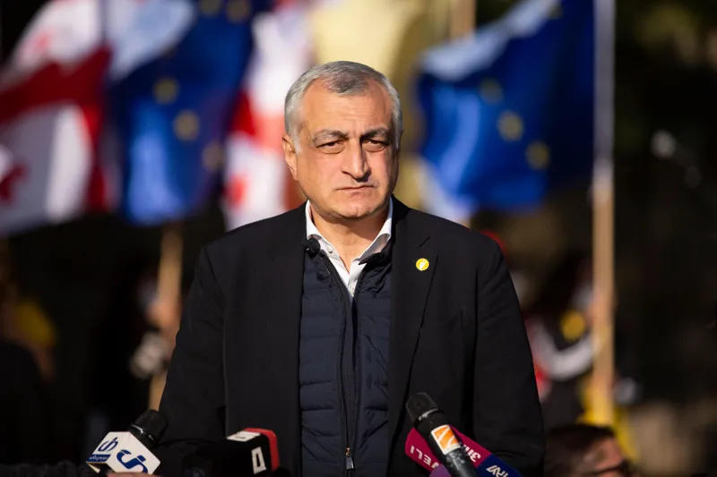 US Ambassador and Lelo leader Mamuka Khazaradze attend meeting at EU Ambassador’s residence