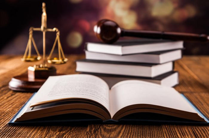 20 ივნისის მოვლენების ამნისტიასთან დაკავშირებით „ქართული ოცნების“ მიერ მომზადებული კანონპროექტი უკვე ცნობილია