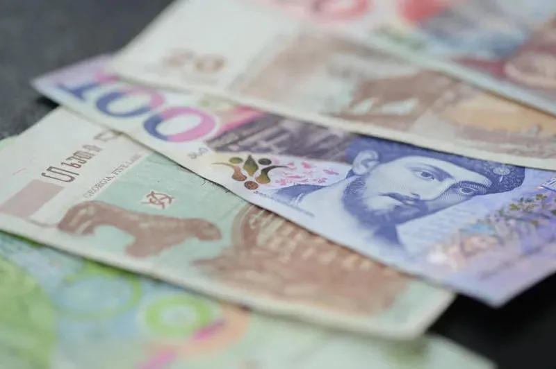 Новый официальный курс доллара – 3.2699 лари