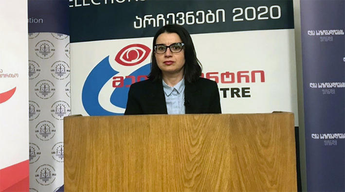 ელენე ნიჟარაძის განცხადებით, პარალელური დათვლებისას დაშვებული ხარვეზი არ იყო იმ მნიშვნელობის, რომ პოლიტიკური კრიზისი გამოეწვია და ეს შეფასება მმართველი გუნდისგან „გაზვიადებული იყო“