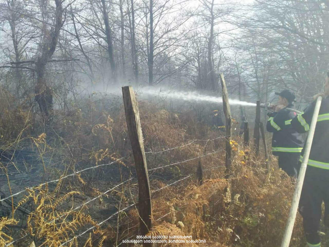 ქვეყნის მასშტაბით ტყის და მინდვრის ხანძრის 9 კერიდან 4 ლიკვიდირებულია, 3 ლოკალიზებული, 2-ზე კი გრძელდება სალოკალიზაციო სამუშაოები