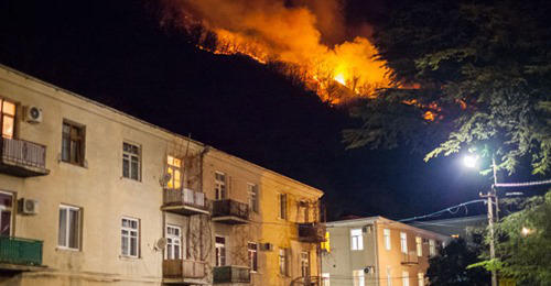 გაგრაში ტყის მასივში გაჩენილი ხანძარი სახლებს უახლოვდება