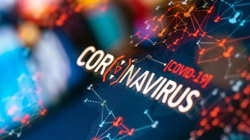 В Грузии выявлено 204 новых случая инфицирования коронавирусом, в стране за последние 24 часа проведено 6 593 теста