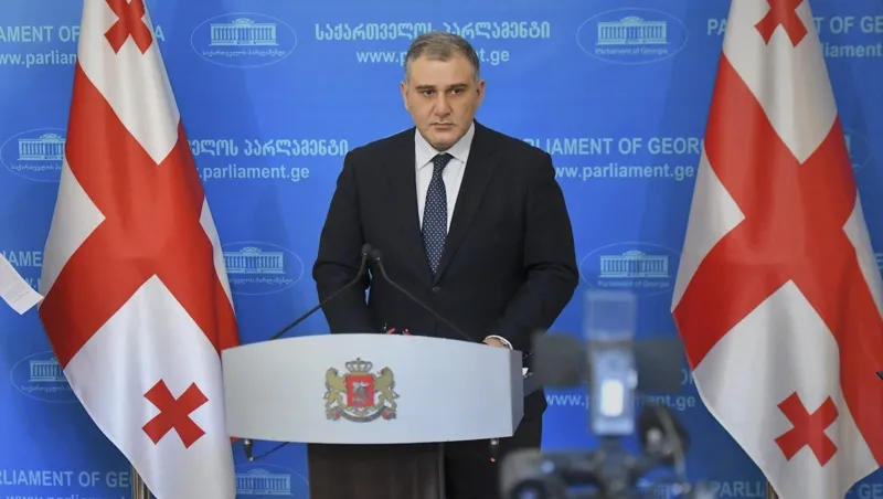 მიხეილ სარჯველაძე - ოპოზიცია საკუთარ პერსპექტივას იმაში ხედავს, რომ უწესრიგობით წესრიგზე ბატონობა მოიპოვონ