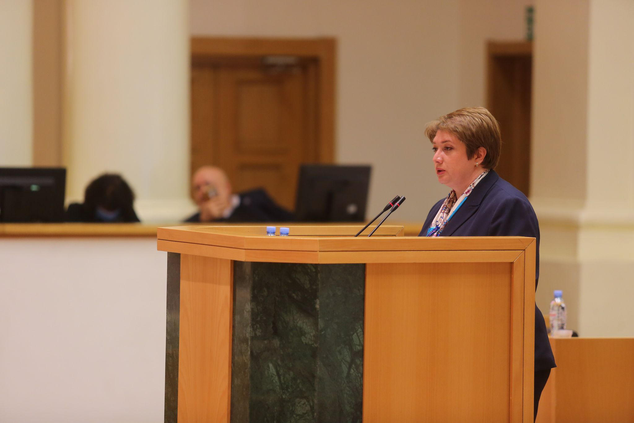 მაია ცქიტიშვილი - ერთიანი ნარჩენების მართვის პროგრამის ფარგლებში რეგიონული ნაგავსაყრელების პრინციპზე გადავდივართ