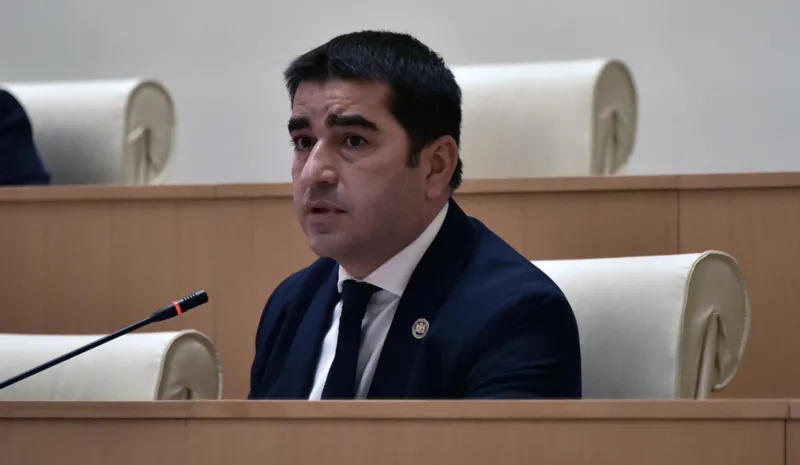 შალვა პაპუაშვილის განცხადებით, გიორგი გახარია ეთანხმებოდა ნიკა მელიასთვის სადეპუტატო იმუნიტეტის შეჩერებას და განსხვავებული პოზიცია მხოლოდ აღსრულების ვადებთან დაკავშირებით ჰქონდა
