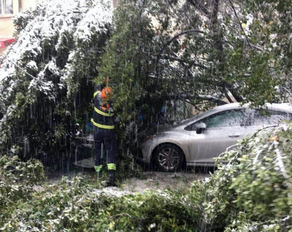 დიდთოვლობის გამო, საგანგებო სიტუაციების მართვის სამსახურში 140 შეტყობინება შევიდა, დაზიანდა 26 ავტომობილი, მოტეხილმა ხის ტოტებმა დააზიანა ელსადენები