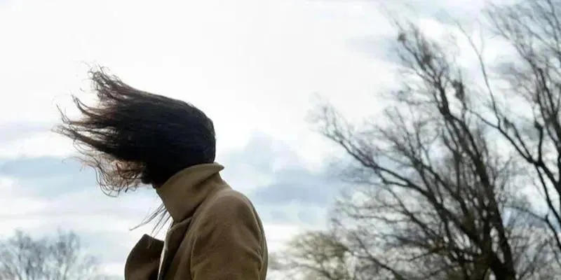 საქართველოში ძლიერი ქარი ხვალ დილამდე შენარჩუნდება