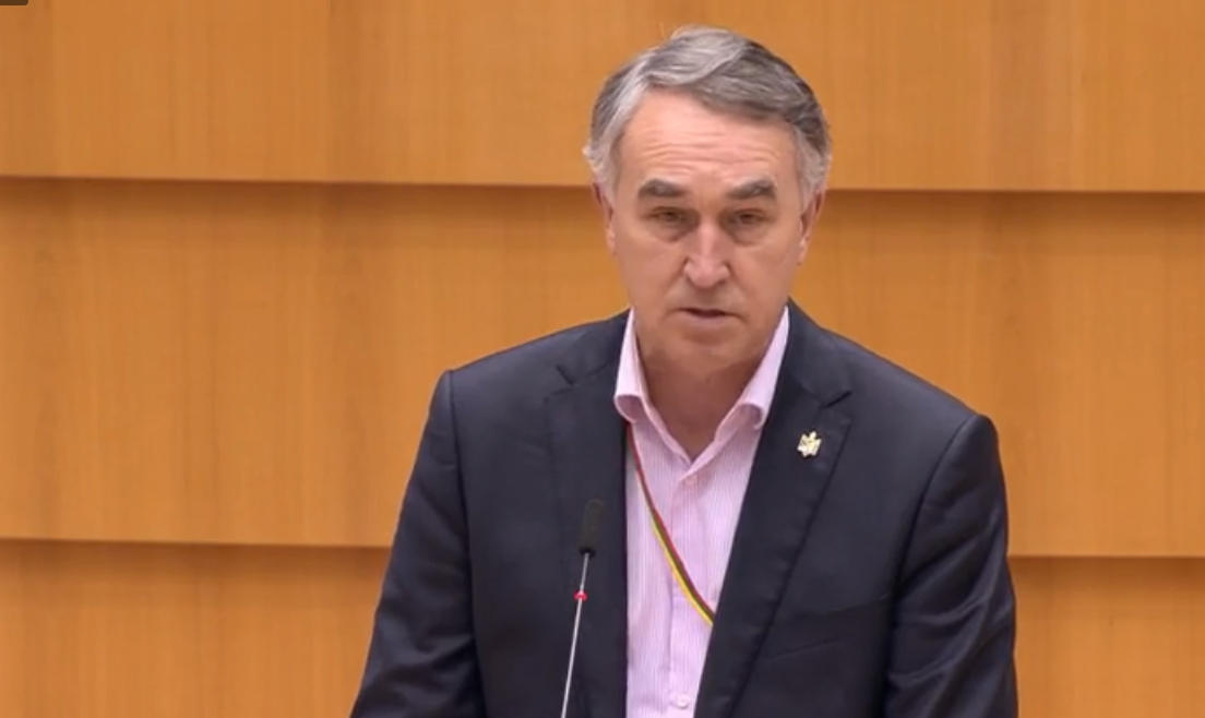 პეტრას აუსტრევიჩიუსი - საქართველოში ბოლო დროს განვითარებული მოვლენები წარმოადგენს სისტემურ პოლიტიკურ კრიზისს