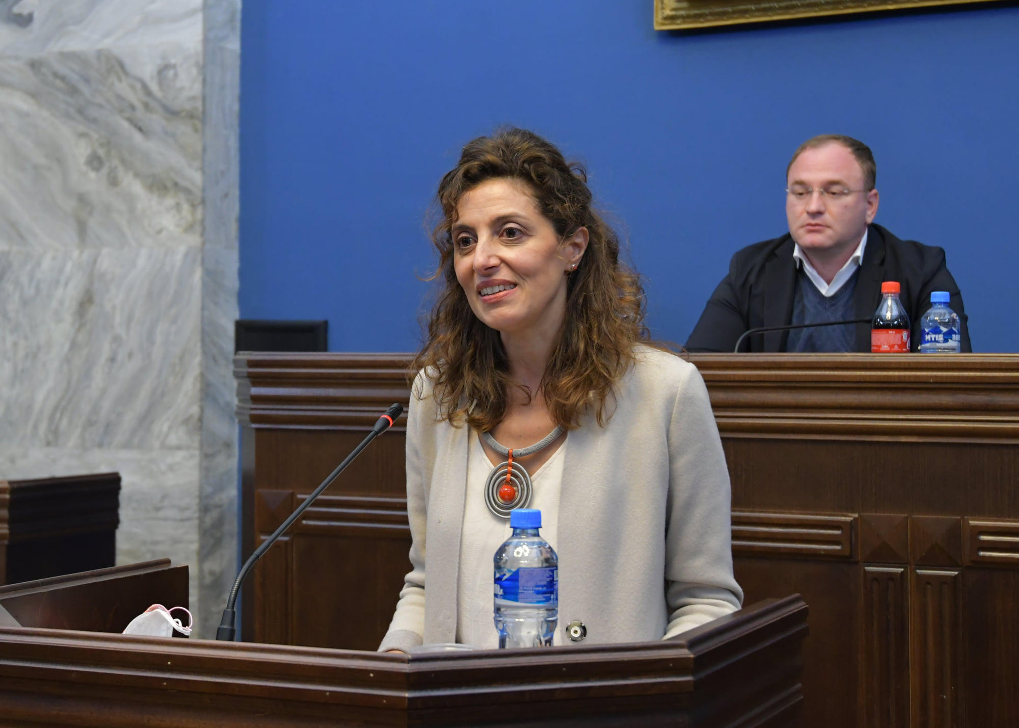 პარლამენტის თავდაცვისა და უშიშროების კომიტეტის სხდომაზე, ნატო-საქართველოს პარტნიორობის შესახებ, ნატო-ს სამეკავშირეო ოფისის ხელმძღვანელს უსმენენ