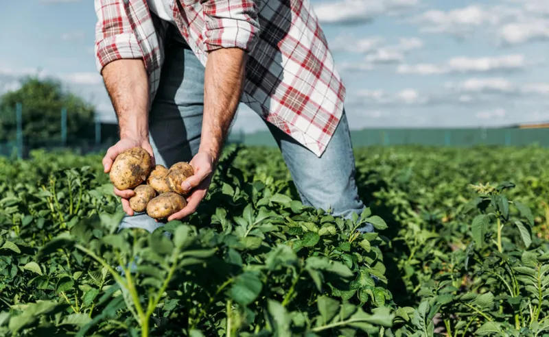 გერმანიაში ლეგალურად დასაქმების სურვილი საქართველოს 98 443 მოქალაქემ, ისრაელში კი 1 427 პირმა გამოთქვა