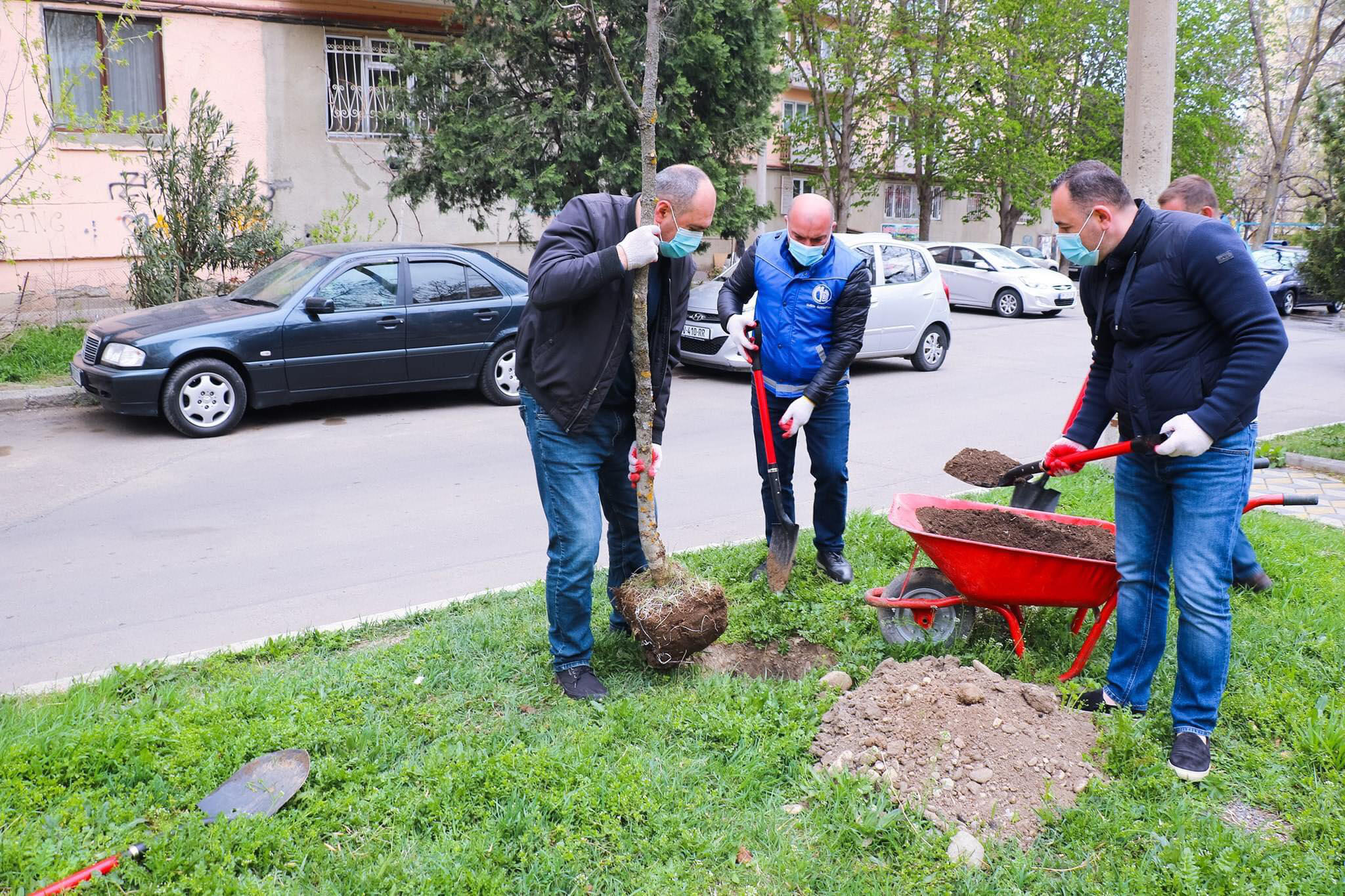 ლევან დავითაშვილმა გამწვანების აქციაში მონაწილეობა მიიღო