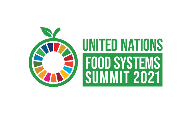 საქართველო გაერო-ს სურსათის სისტემების სამიტისთვის ემზადება