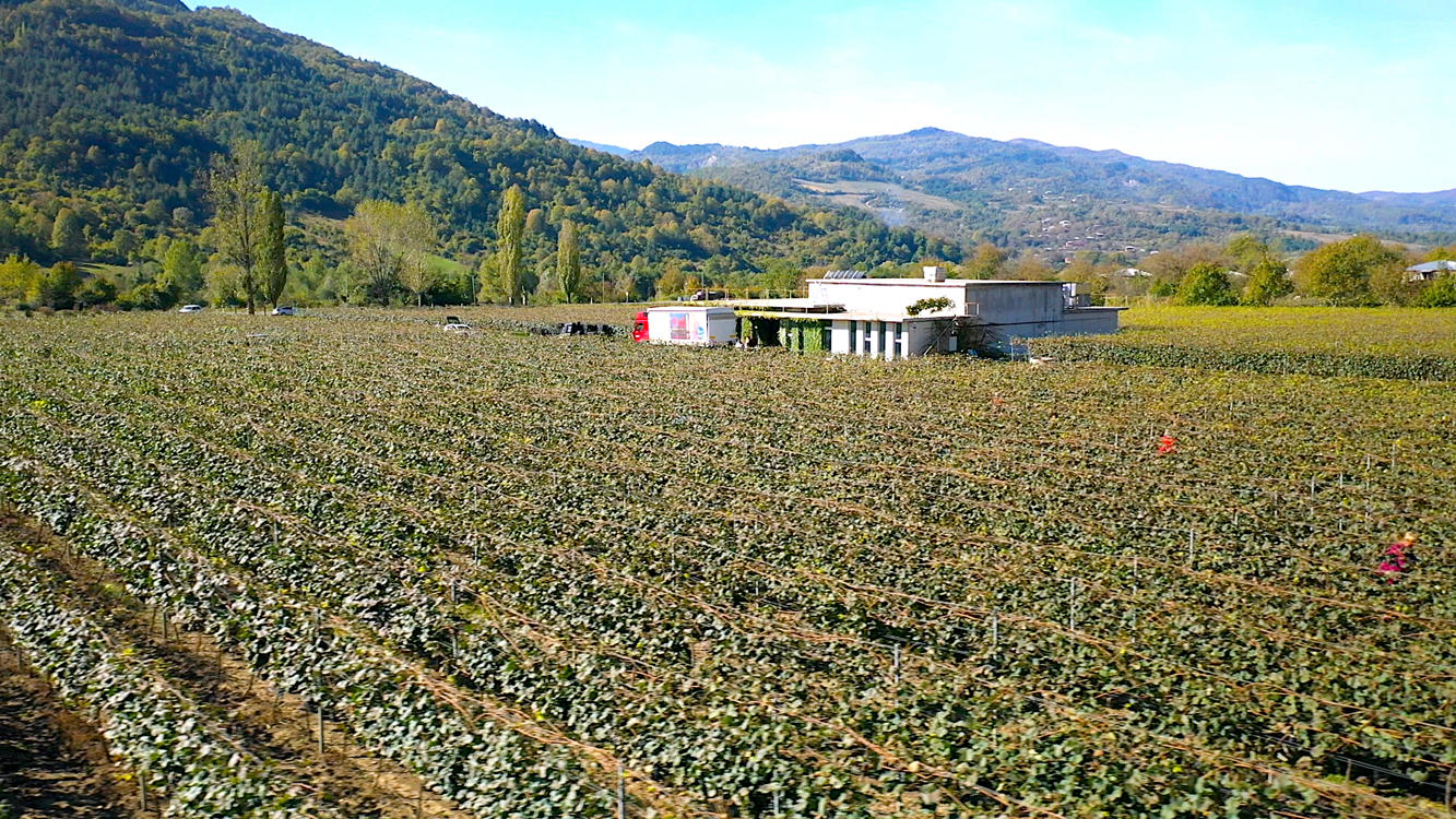 "ჯივიესის" ახალი შენაძენი რაჭაში