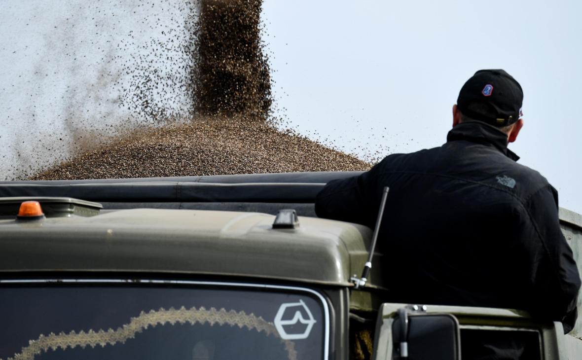 Россия запрещает экспорт гречихи