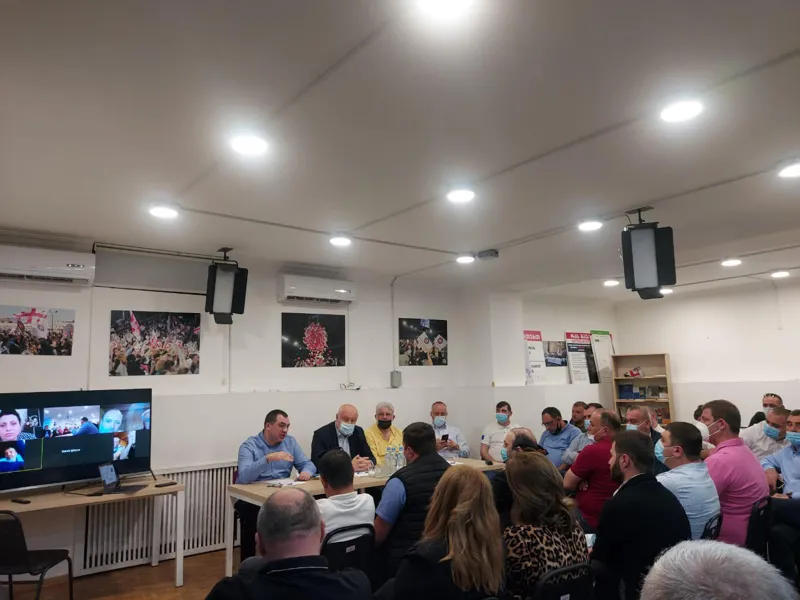 According to the decision of the Political Council, "European Georgia" won't enter the Parliament