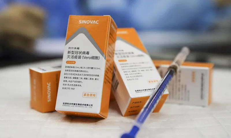Georgia starts vaccination process with Chinese "Sinovac" from today