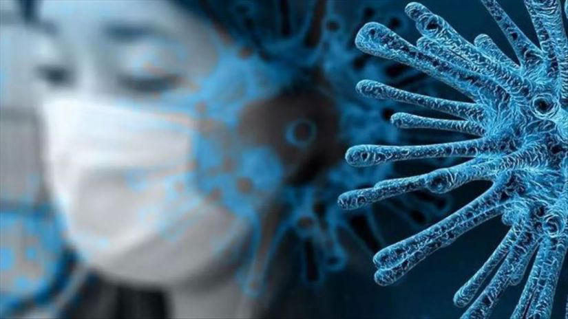 ВОЗ – В течение прошлой недели число случаев инфицирования коронавирусом в мире сократилось на 6%