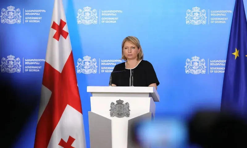 ნათია თურნავა ევროკავშირის დაფინანსებაზე - თუკი საკუთარი რესურსი გვაქვს, არ არის საჭიროება, რომ სესხი გავზარდოთ - ვწუხვარ, რომ ეკონომიკურმა საკითხმა პოლიტიკური დატვირთვა შეიძინა