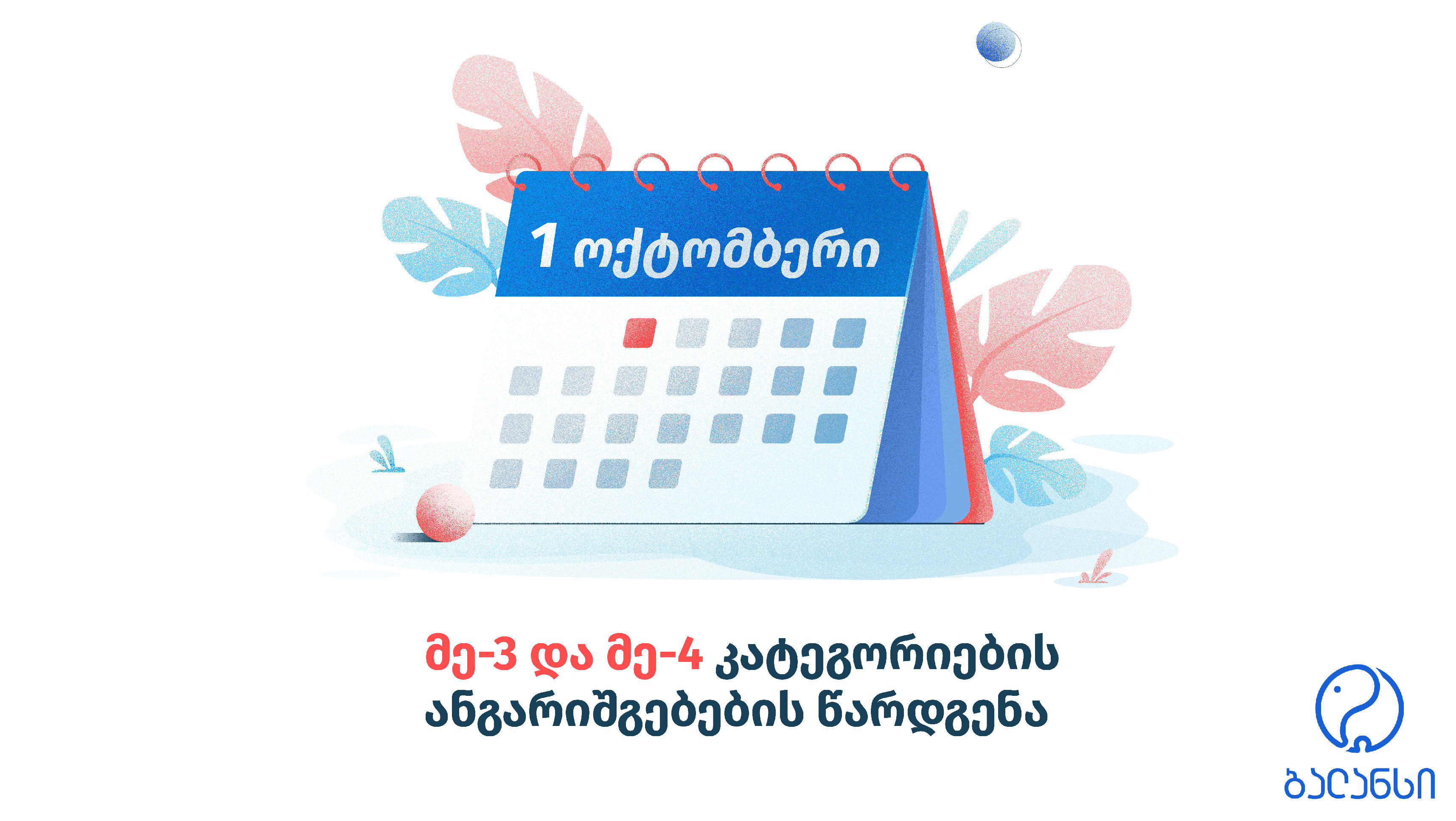 მე-3 და მე-4 კატეგორიების საწარმოების ფინანსური ანგარიშგებები პროგრამა ბალანსში