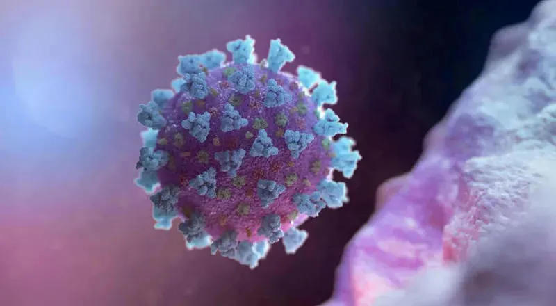 Total number of global cases of coronavirus exceeds 225 million