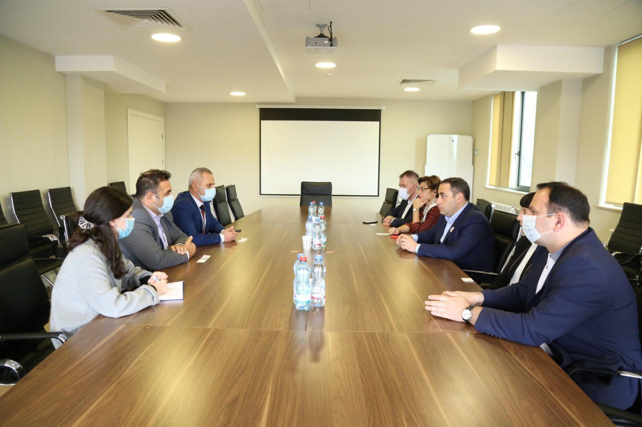 „მესამე ძალა-სტრატეგია აღმაშენებლის“ ლიდერები ევროპული სადამკვირვებლო ორგანიზაციის წარმომადგენლებს შეხვდნენ