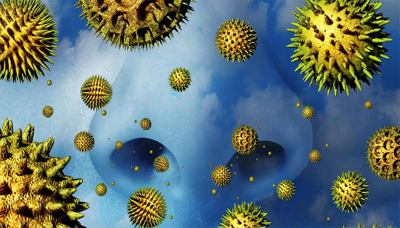 როგორ ვებრძოლოთ შემოდგომის სეზონურ ალერგიას