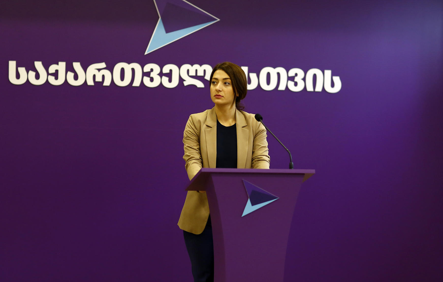 ანა ბუჩუკურის განცხადებით, არჩევნებზე, 17:00 საათის მდგომარეობით, მათი პარტიის წარმომადგენლების მიერ დაფიქსირებულ დარღვევებზე დაიწერა 150-მდე საჩივარი