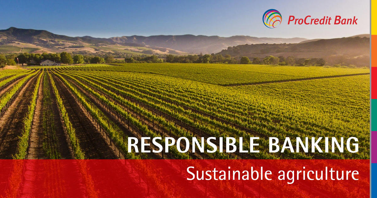 How ProCredit Bank supports sustainable agriculture