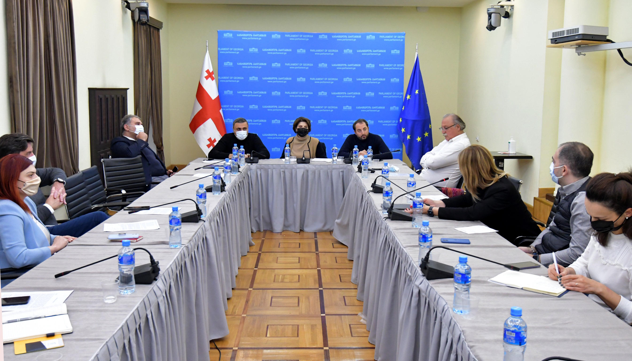 კულტურის კომიტეტთან არსებულმა სამუშაო ჯგუფმა  საავტორო და მომიჯნავე უფლებებთან დაკავშირებით იმსჯელა