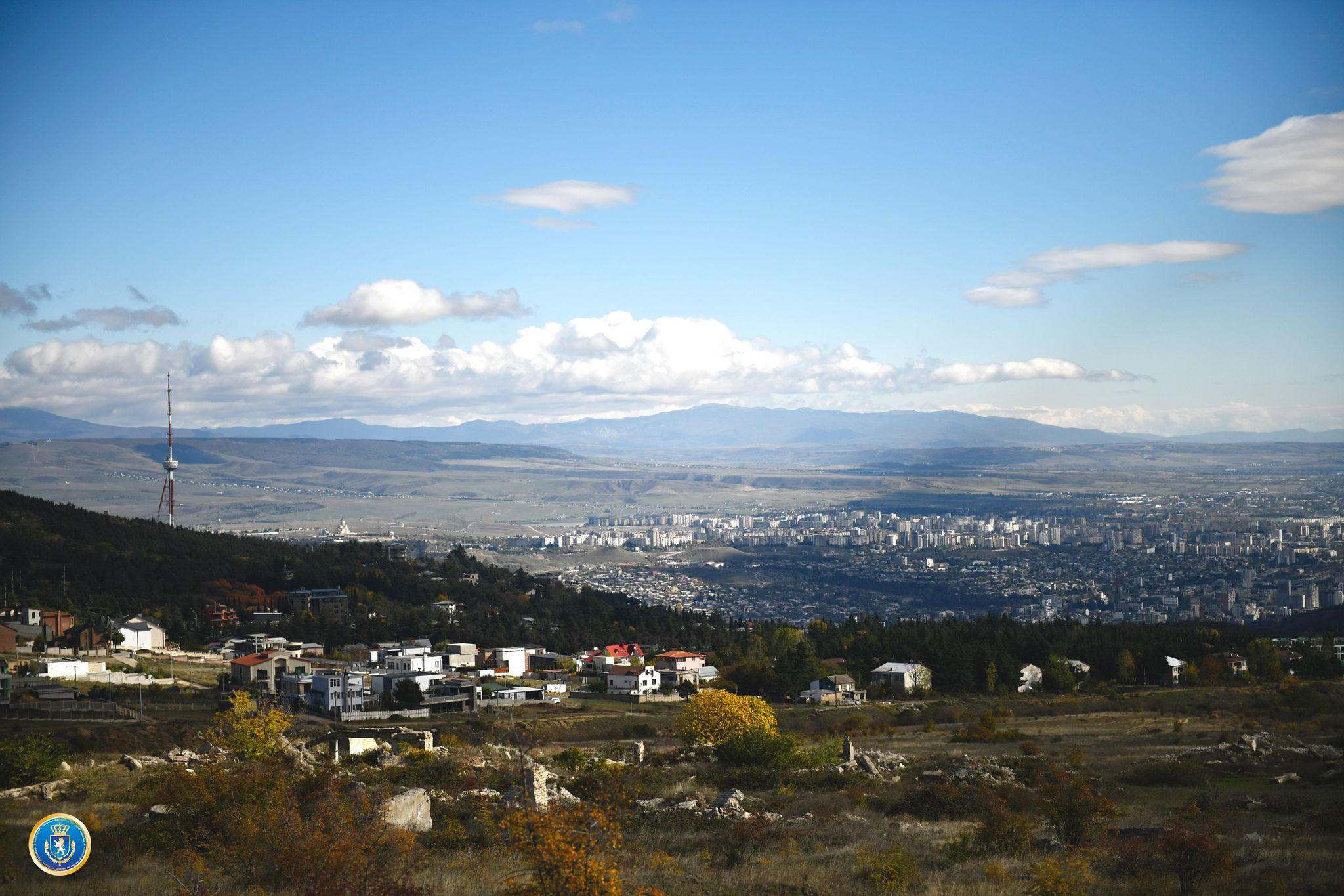 საგამოძიებო სამსახურის თანამშრომლებმა დიდი ოდენობით სხვისი ქონების მოტყუებით დაუფლების მცდელობის ფაქტზე ერთი პირი დააკავეს