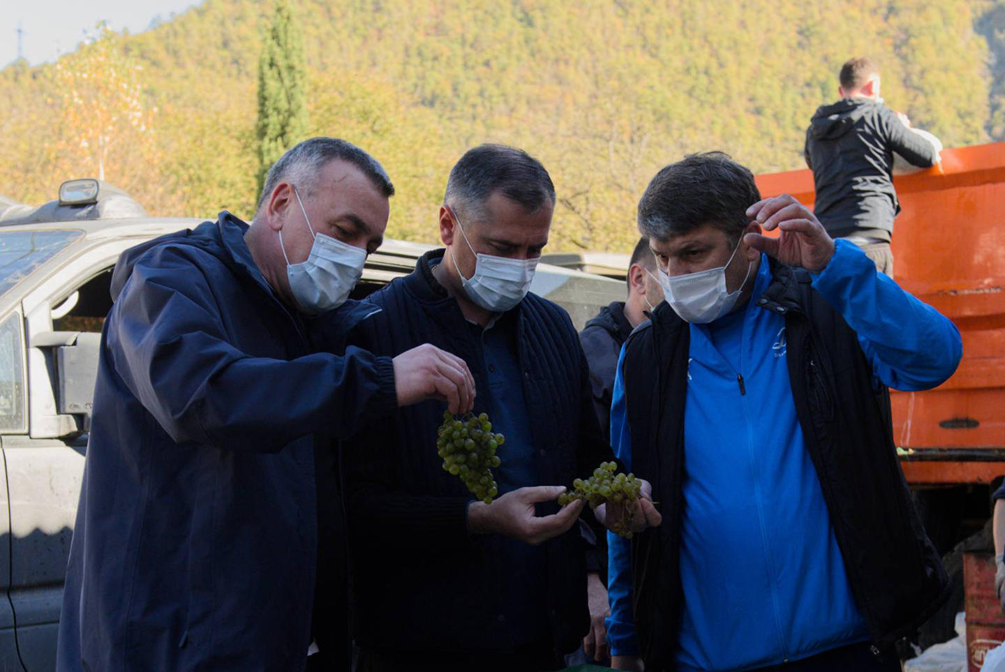 გოჩა ენუქიძის განცხადებით, ლეჩხუმში რთველის პროცესი აქტიურ ფაზაშია