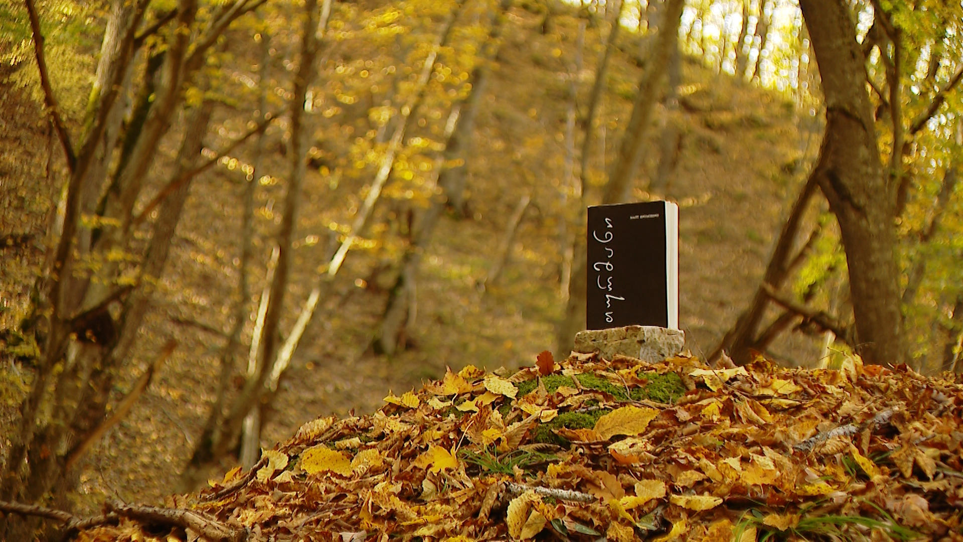 „არემჯის“ მხარდაჭერით, ბასილ მელიქიშვილის წიგნი გამოიცა