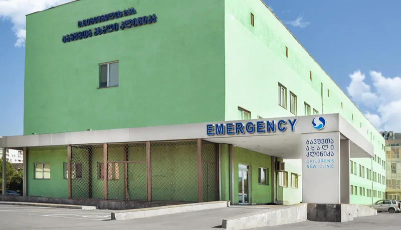 თბილისში მცირეწლოვანი პიტბულმა დაგლიჯა - ბავშვის მდგომარეობა მძიმეა