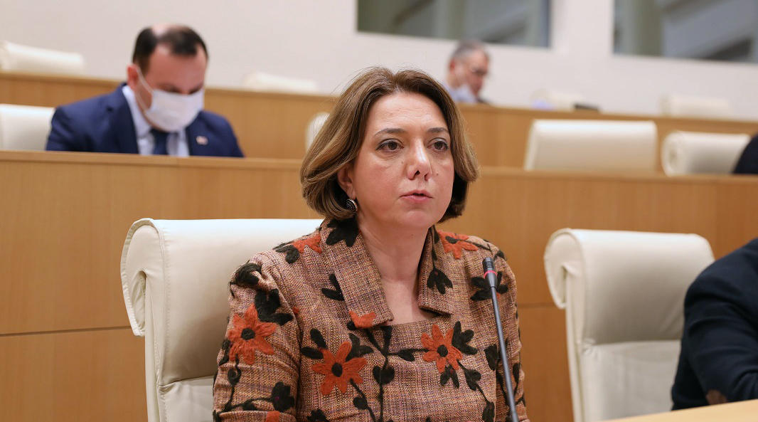 სალომე სამადაშვილი - კობახიძეს მიაჩნია, რომ საპყრობილეში ჩაგდებული ყოფილი პრეზიდენტის თრევა და მიშელის ხელშეკრულების ევროპისთვის უკან მიგდება ევროპული საქციელია