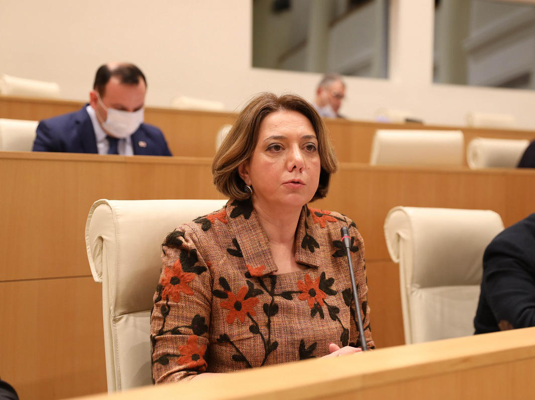 სალომე სამადაშვილი შალვა პაპუაშვილს - გირჩევდით, ლევან ბერძენიშვილი დაიქირაოთ, რომ უმრავლესობის წევრები ლოგიკურ მეტყველებაში ავარჯიშოს, რათა განცხადებისას მულტფილმების ციტირება არ სჭირდებოდეთ