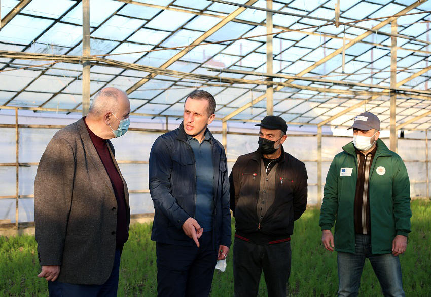 სახელმწიფოს  და USAID-ის ფინანსური მხარდაჭერით შექმნილ სასათბურე მეურნეობას  მწვანილი ექსპორტზე გააქვს