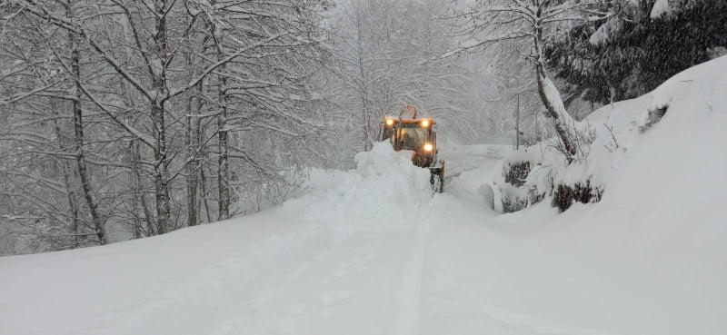 შსს-ში აცხადებენ, რომ პირველადი ინფორმაციით, ხელვაჩაურში და-ძმის გარდაცვალება სხეულის გადაციებამ გამოიწვია