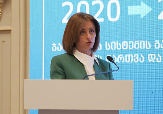 ქუთაისის საერთაშორისო უნივერსიტეტის რექტორის მოადგილედ ეკატერინე ტიკარაძე დაინიშნა