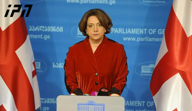 სალომე სამადაშვილი - მინდა ვამხილო „ქართული ოცნება“ უსინდისო ტყუილებში, რომელსაც ისინი საზოგადოებას უკვე არაერთი კვირაა სთავაზობენ