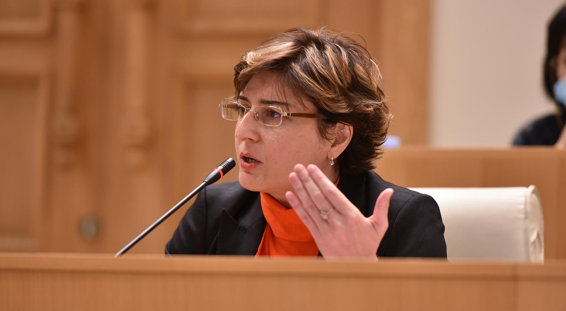 პარლამენტის პლენარულ სხდომაზე ხათუნა სამნიძესა და მიხეილ ყაველაშვილს შორის სიტყვიერი დაპირისპირება მოხდა