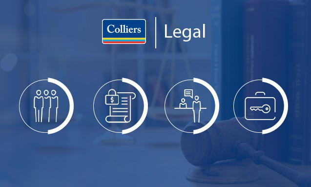 Protection of Legal Interests at Local and International Levels