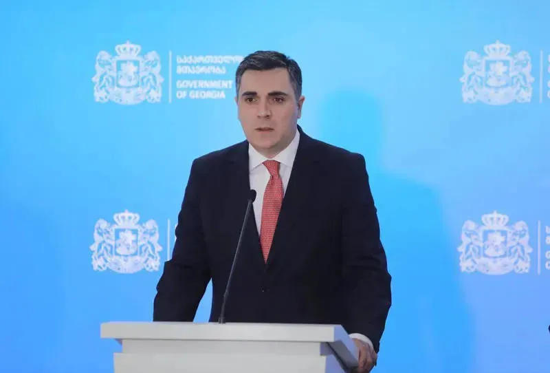 ილია დარჩიაშვილი - საქართველოს ხელისუფლება პასუხისმგებლობით ეკიდება ქვეყანაში რეფორმების გატარების აუცილებლობას