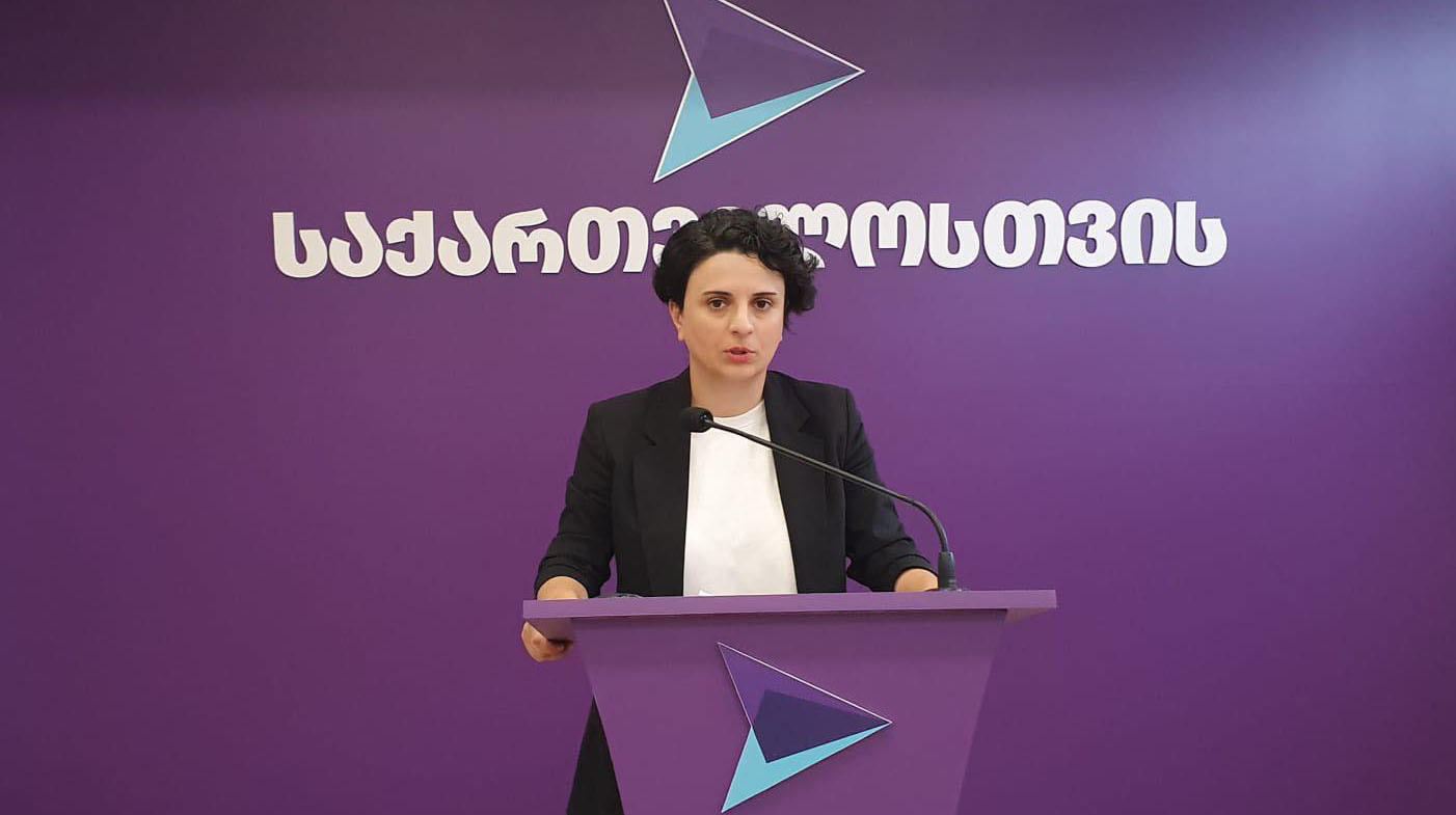 ნათია მეზვრიშვილი - ევროკავშირი დღეს ჩვენგან ელოდება ერთადერთს და მთავარს, ხელისუფლებამ გამოხატოს რეფორმების გატარების მინიმუმ მზაობა და პოლიტიკური ნება - მოვუწოდებთ „ოცნებას“, გონს მოეგონ