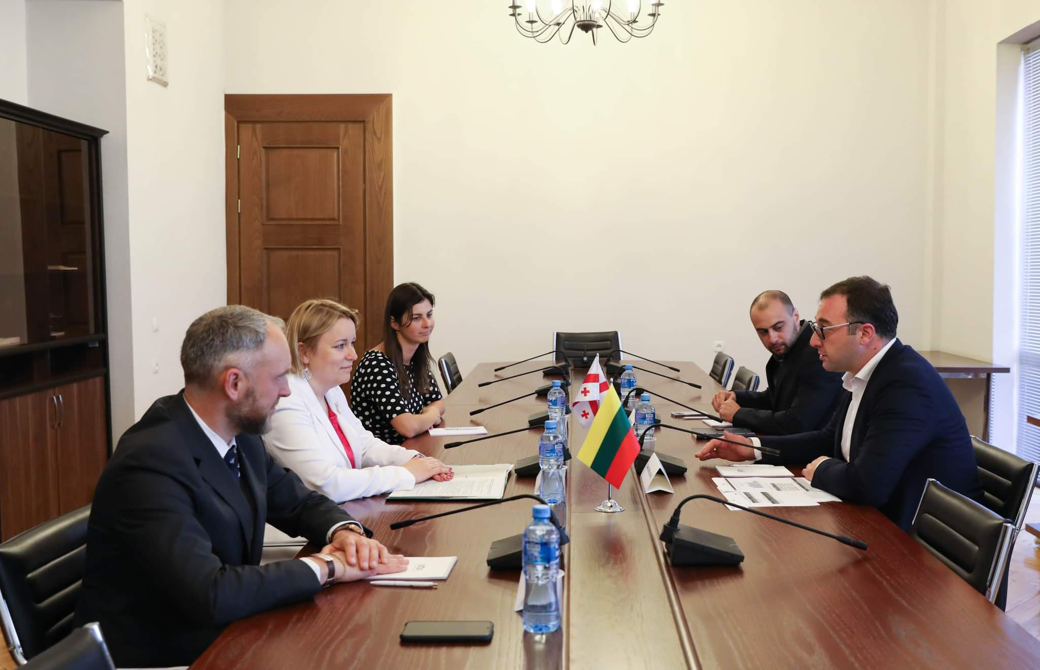 დავით სონღულაშვილი ლიეტუვის ეკონომიკისა და ინოვაციების მინისტრის მოადგილეს შეხვდა