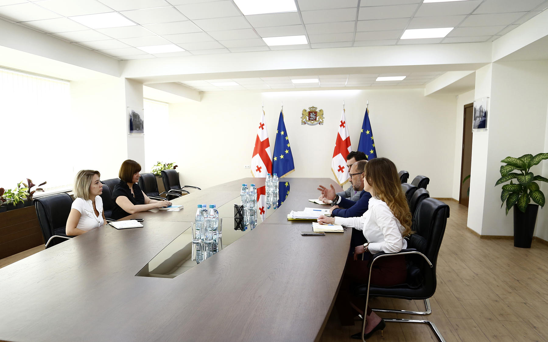 თამილა ბარკალაია შრომის საერთაშორისო ორგანიზაციის წარმომადგენლებს შეხვდა